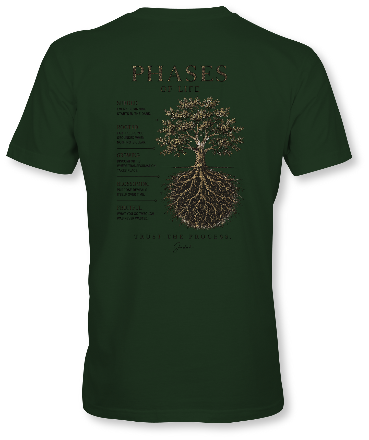TRUST THE PROCESS - PHASES OF JUDAH - SUDDENLY AMISH