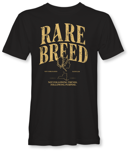RARE BREED -BILLIE JO- SUDDENLY AMISH