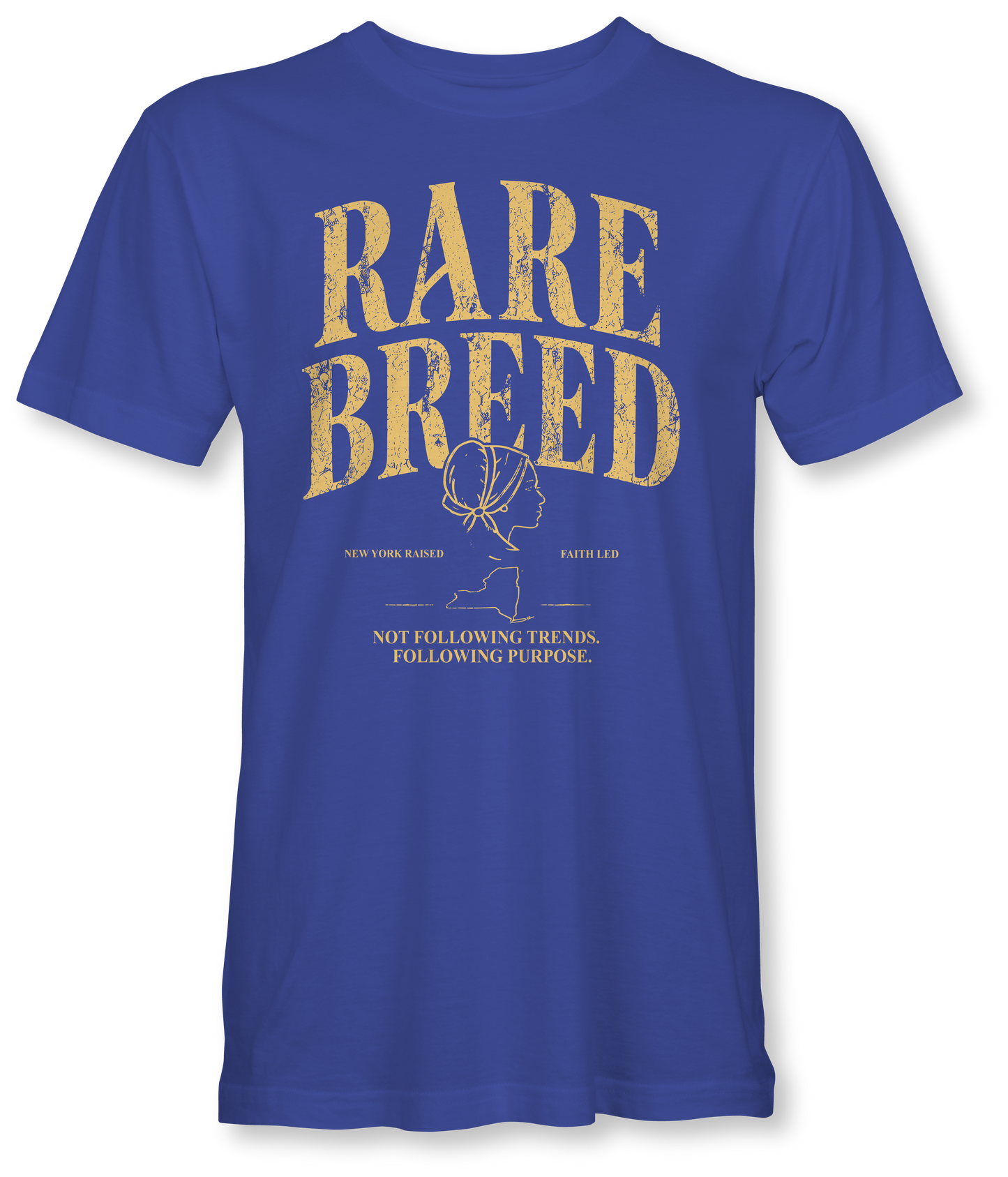 RARE BREED -BILLIE JO- SUDDENLY AMISH