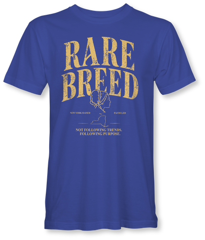 RARE BREED -BILLIE JO- SUDDENLY AMISH