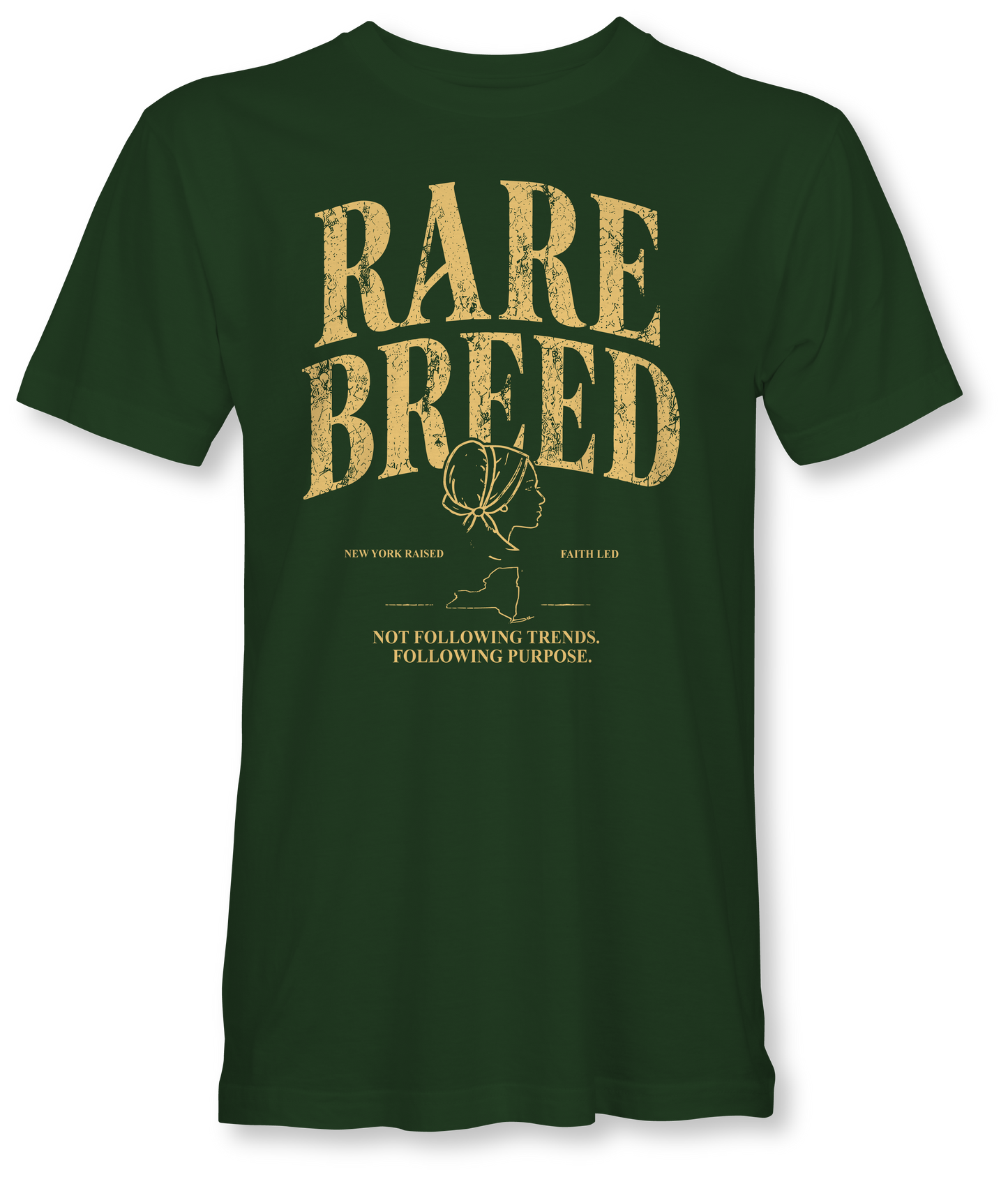 RARE BREED -BILLIE JO- SUDDENLY AMISH