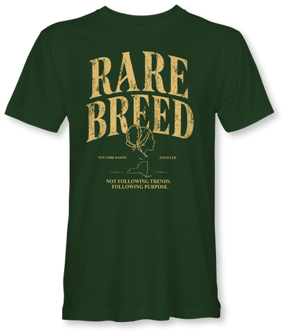 RARE BREED -BILLIE JO- SUDDENLY AMISH