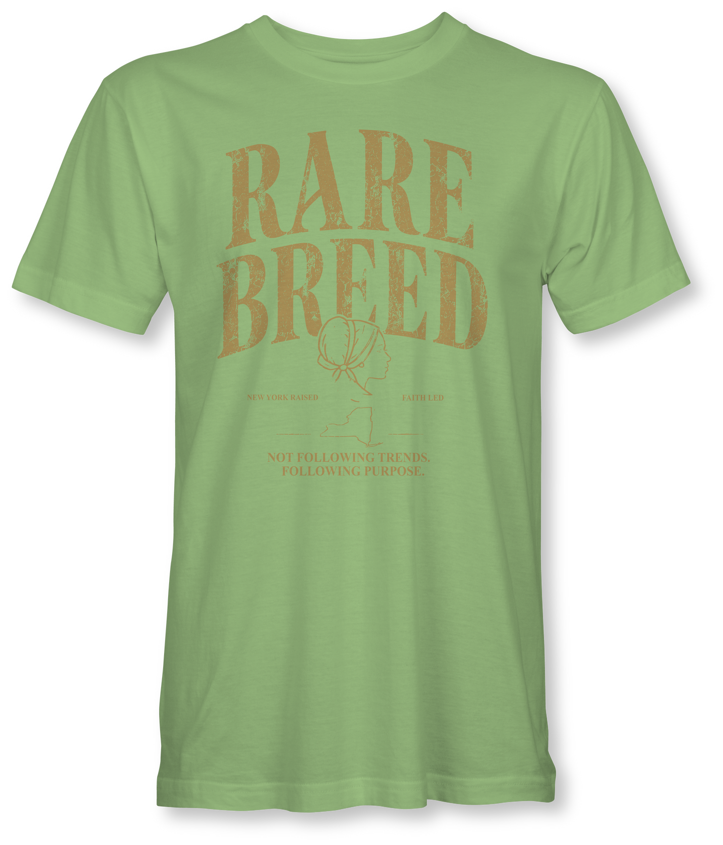 RARE BREED -BILLIE JO- SUDDENLY AMISH