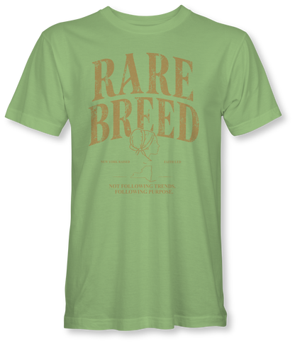 RARE BREED -BILLIE JO- SUDDENLY AMISH