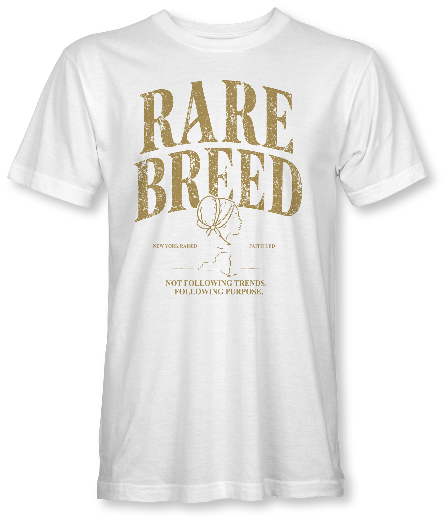 RARE BREED -BILLIE JO- SUDDENLY AMISH