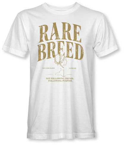 RARE BREED -BILLIE JO- SUDDENLY AMISH