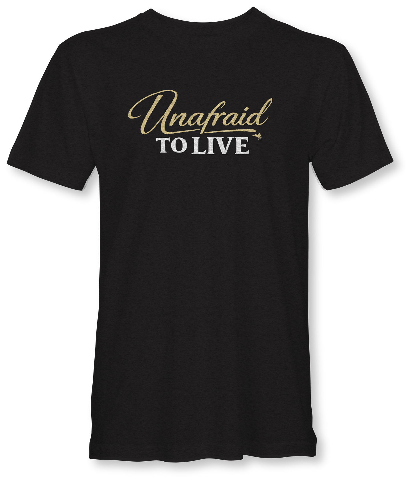 UNAFRAID TO LOVE  JUDAH - SUDDENLY AMISH