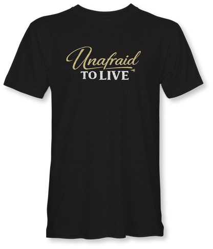 UNAFRAID TO LOVE  JUDAH - SUDDENLY AMISH