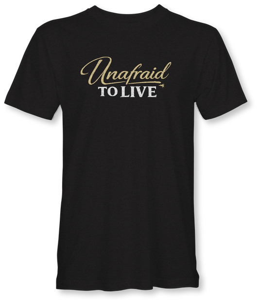UNAFRAID TO LOVE  JUDAH - SUDDENLY AMISH