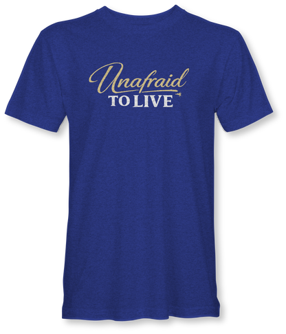 UNAFRAID TO LOVE  JUDAH - SUDDENLY AMISH