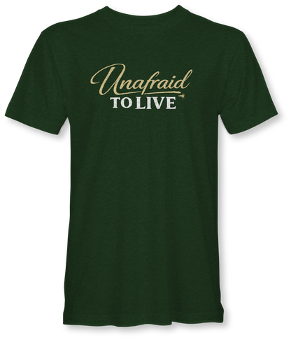 UNAFRAID TO LOVE  JUDAH - SUDDENLY AMISH