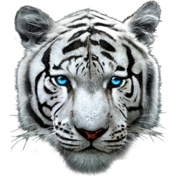 *3D Tiger*