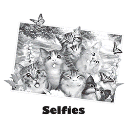 *Cat Selfie* Solar Tee