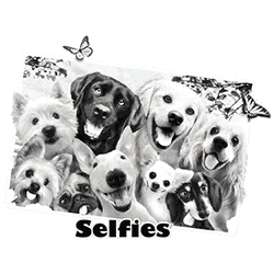 *Dog Selfie* Solar Tee