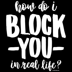 *How Do I Block You In Real Life?*