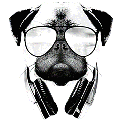 *Pug Life* Solar Tee