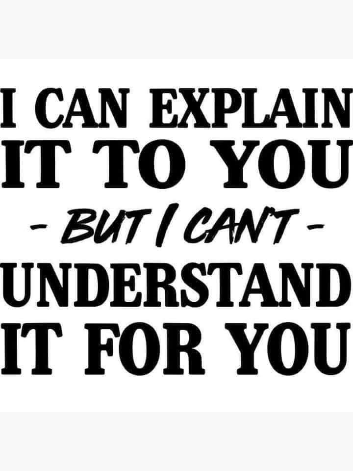 *I Can Explain it To You But I Can't Understand it For You*