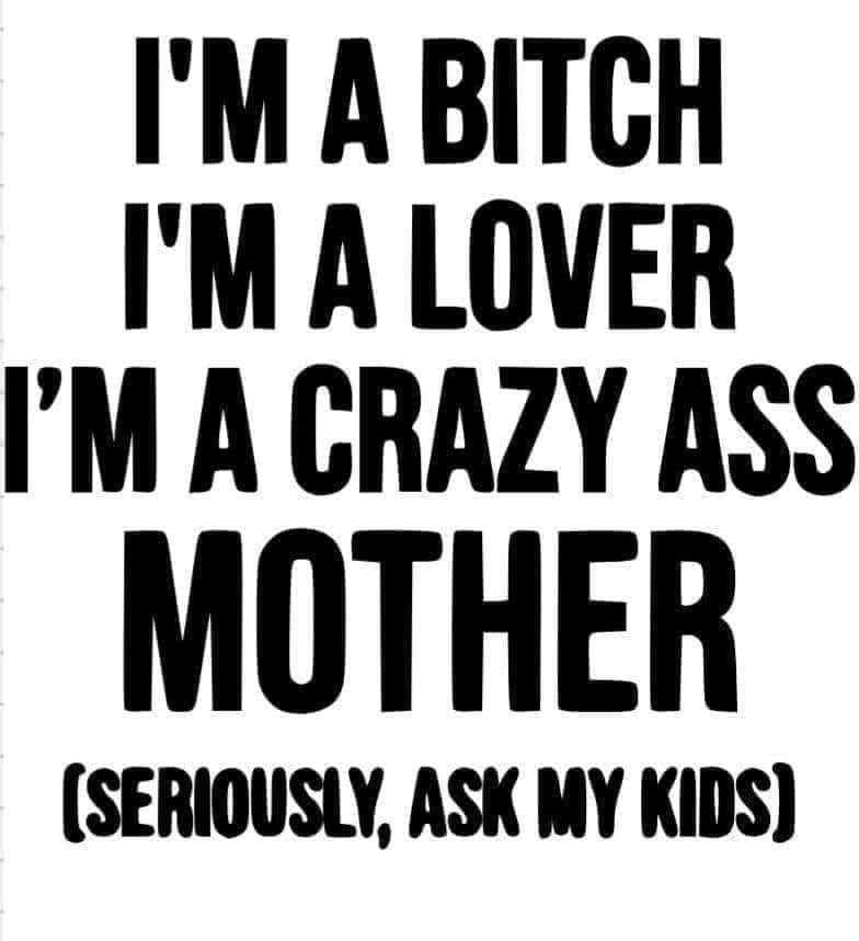 M-100 *I'm a Bitch I'm a Lover I'm a Crazy Ass Mother (Seriously, Ask My Kids)