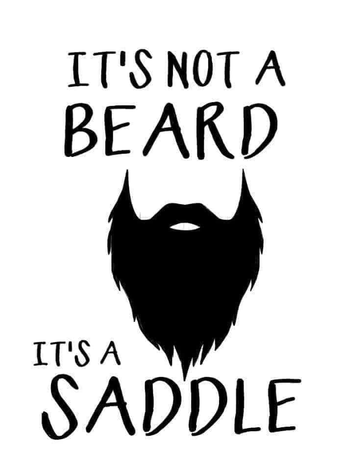 *It's Not a Beard, It's a Saddle*