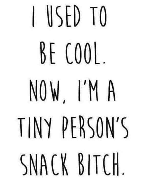 *I Used to Be Cool. Now I'm a Tiny Person's Snack Bitch*