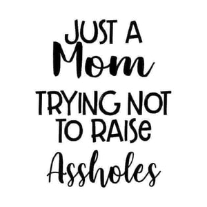 *Just a Mom Trying Not to Raise Assholes*