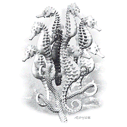 *Kid's Seahorses* Solar Tee